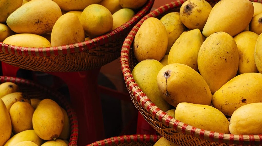 Ripe mango close-up